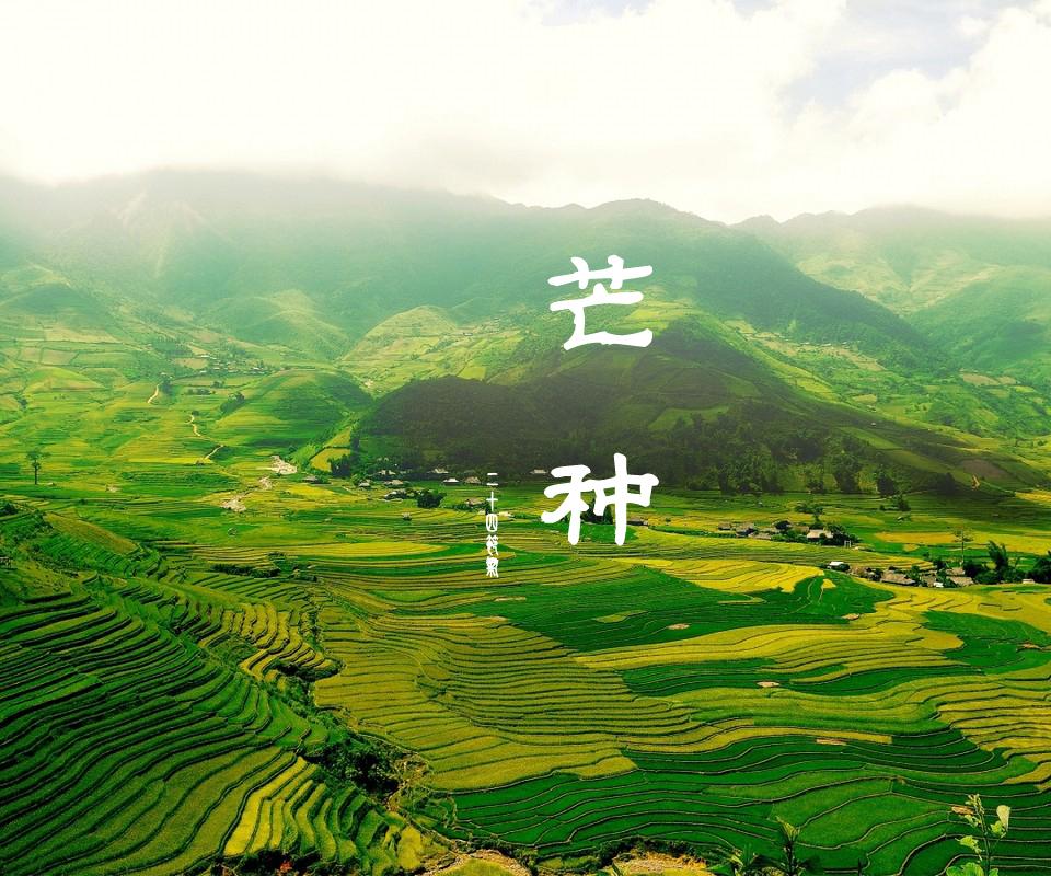 芒種|一體機伺服糾偏系統廠家愿您種下希望,收獲美好